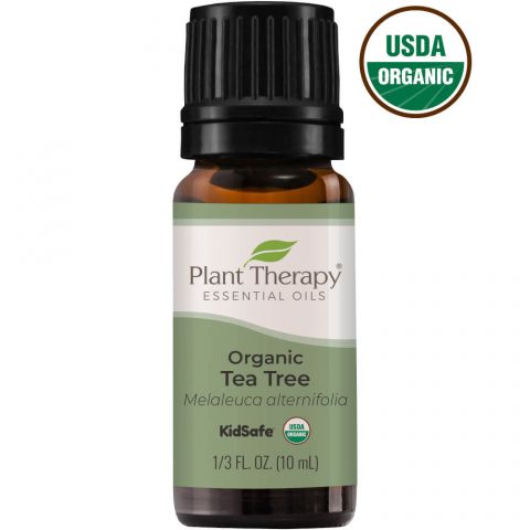 Plant Therapy - 有機茶樹精油 Organic Tea Tree Essential Oil 10ml