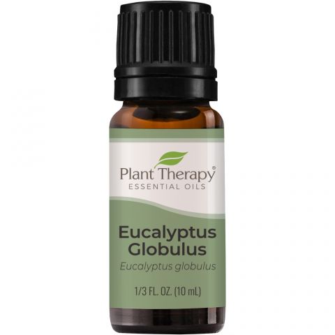 Plant Therapy - 桉樹精華 10ml Eucalyptus Globulus Essential 10ml